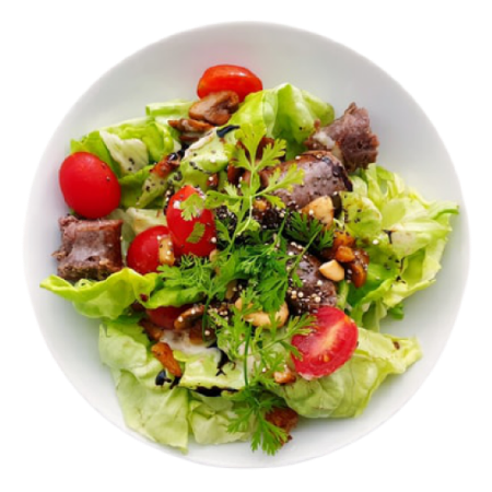 Food Plate